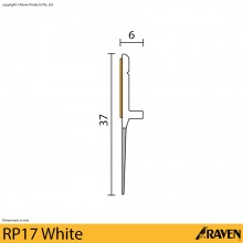 RP17 Door Bottom Sweep Seal